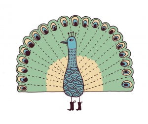 Lovebirds Type: Peacock