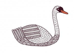 Lovebirds Type: Swan